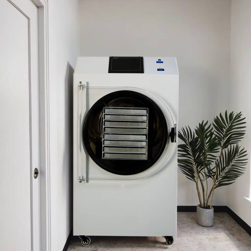 Dried Fruit - Automatic PLC-Controlled Drying Machine Dried Coffee