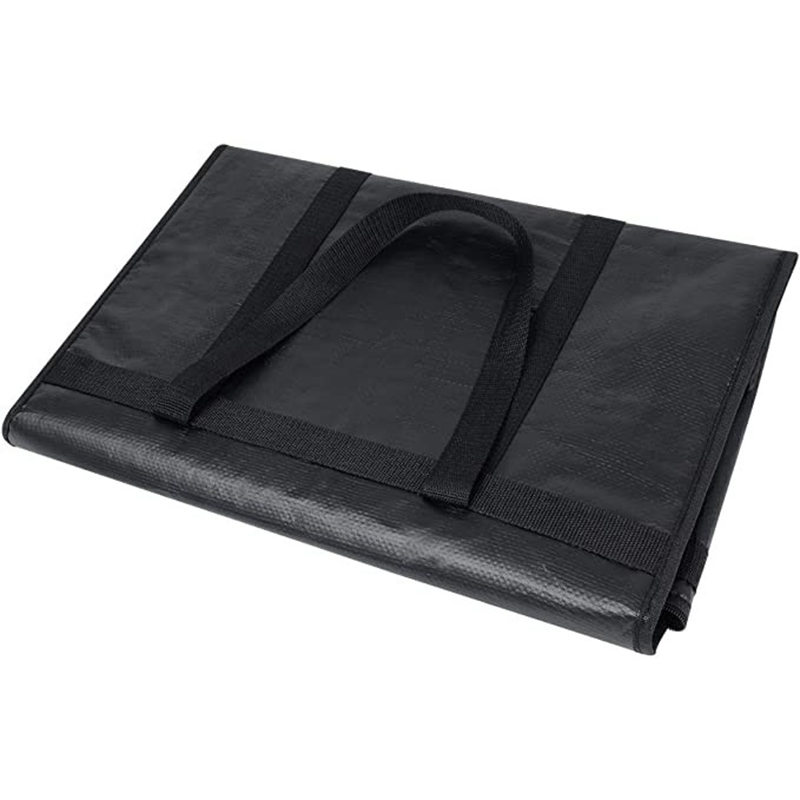 Large Insulated Delivery Bag F - Food Snacks Delivery 评论和价格